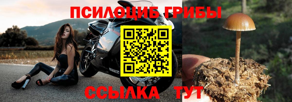 Ростов Великий  Галлюциногенные грибы MAGIC MUSHROOMS  Вход с VPN 